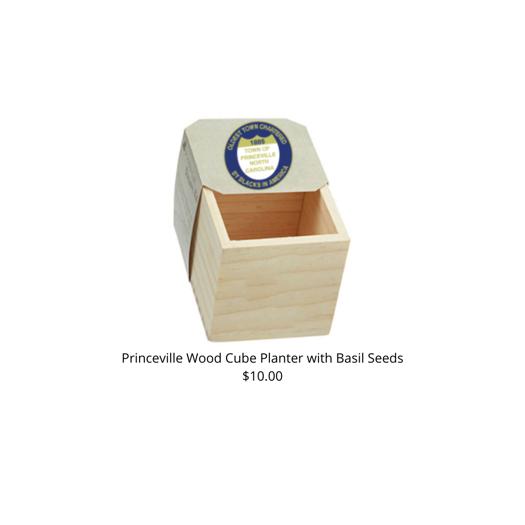 Basil Natural Pine Wooden Cube Blossom Kits